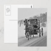 Carte postale Amish Horse et Buggy 3 (Devant / Derrière)