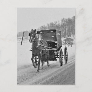 Carte postale Amish Horse et Buggy 3