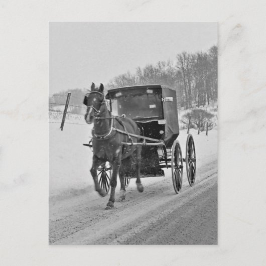 Carte postale Amish Horse et Buggy 3 (Devant)