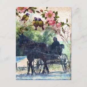 Carte Postale Amish Horse et Buggy Birdie Texture