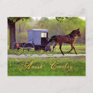 Carte Postale Amish Horse et Buggy, Lancaster, PA