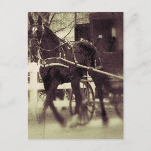 Carte Postale Amish Horse et Buggy Rural Iowa Photographie