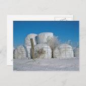 Carte postale Amish Round Hay Bales (Devant / Derrière)
