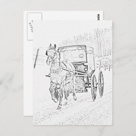 Carte Postale Amish Sketch-Horse et Buggy-Postcard (Devant / Derrière)
