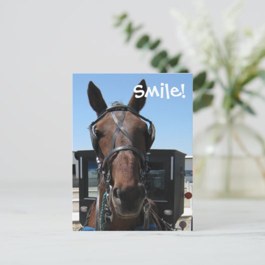 Carte Postale Amish Smile ! (Debout devant)