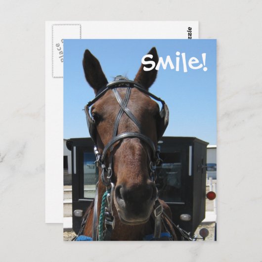 Carte Postale Amish Smile ! (Devant / Derrière)