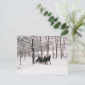 Carte postale Amish Winter Snow Scene (Debout devant)
