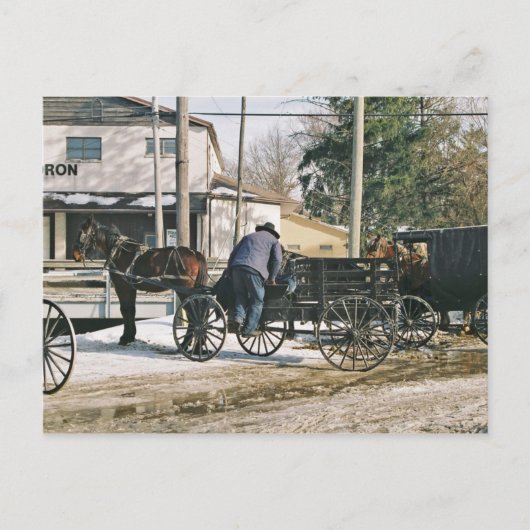 Carte Postale Amishman Parking Buggy (Devant)