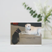 Carte Postale Amitié des chiens (Debout devant)