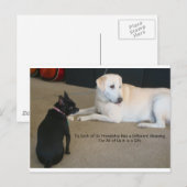Carte Postale Amitié des chiens (Devant / Derrière)