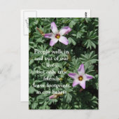 Carte Postale Amitié - Fleurs violettes (Devant / Derrière)