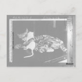 Carte Postale Amitié surprenante - Cat Minnie et Mike Mouse (Dos)