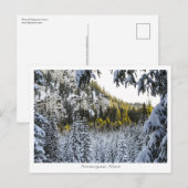 Carte Postale Ammergauer Alpen (Devant / Derrière)