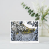 Carte Postale Ammergauer Alpen (Debout devant)