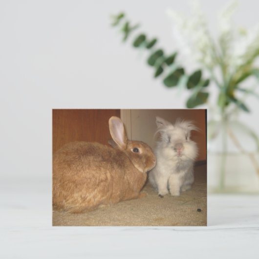 Carte Postale amore (Debout devant)