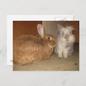 Carte Postale amore (Devant / Derrière)