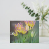 Carte Postale Amour (Debout devant)