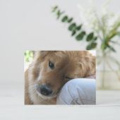 Carte Postale Amour (Debout devant)