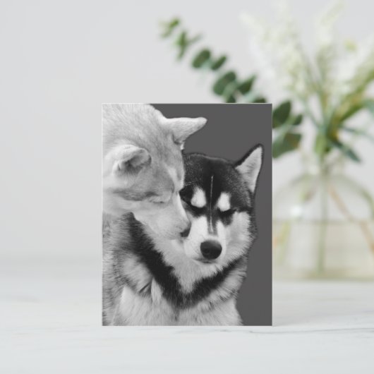 Carte Postale amour (Debout devant)