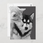 Carte Postale amour (Devant / Derrière)