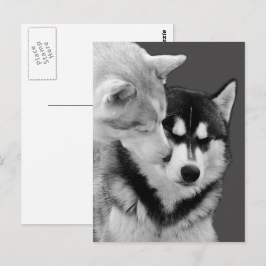 Carte Postale amour (Devant / Derrière)