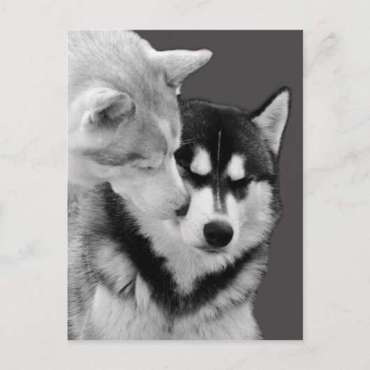 Carte Postale amour (Devant)