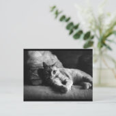 Carte Postale Amour (Debout devant)