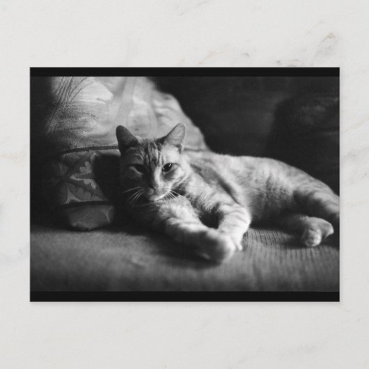 Carte Postale Amour (Devant)