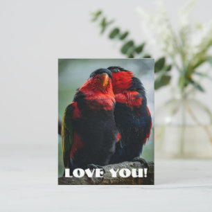 Carte Postale Amour