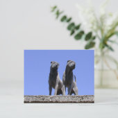 Carte Postale Amour... (Debout devant)