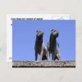 Carte Postale Amour... (Devant / Derrière)