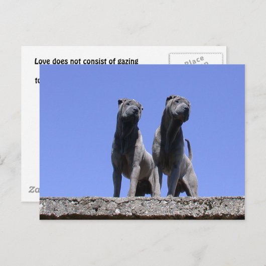 Carte Postale Amour... (Devant / Derrière)