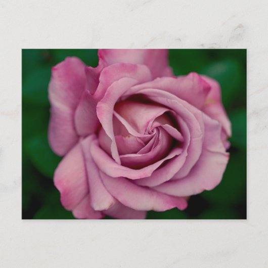 Carte Postale Amour (Devant)