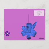 CARTE POSTALE AMOUR (Dos)