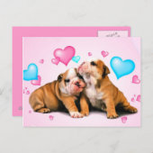 Carte Postale Amour animal (Devant / Derrière)