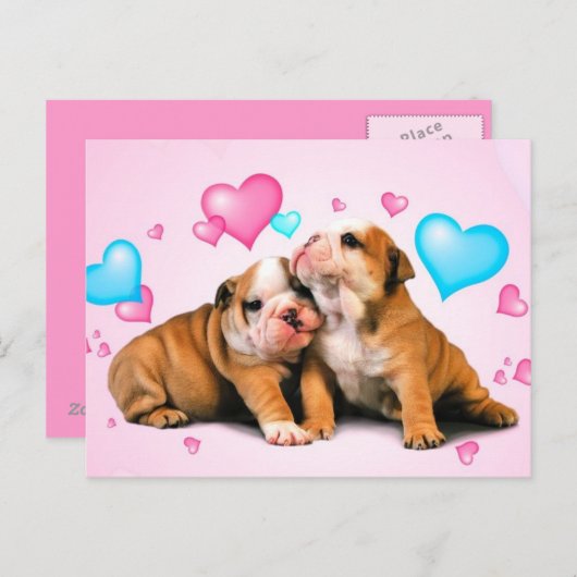 Carte Postale Amour animal (Devant / Derrière)