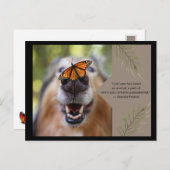 Carte Postale Amour animal -Chien (Devant / Derrière)