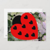 Carte Postale Amour Bug (Devant / Derrière)