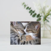 Carte postale Amour Chat (Debout devant)