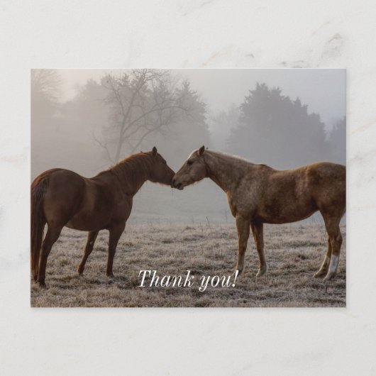 Carte Postale Amour de Cheval Merci (Devant)