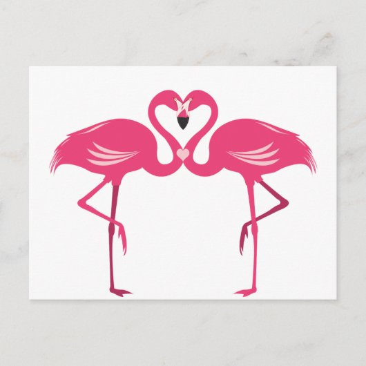 Carte Postale Amour de Flamant rose (Devant)