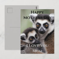 **"Amour de la mère : Mummy and Baby Lemur Cuddlin