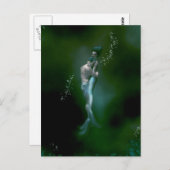 Carte Postale Amour de la sirène (Devant / Derrière)