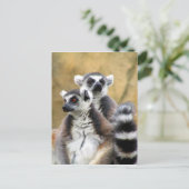 Carte Postale amour de lemur (Debout devant)