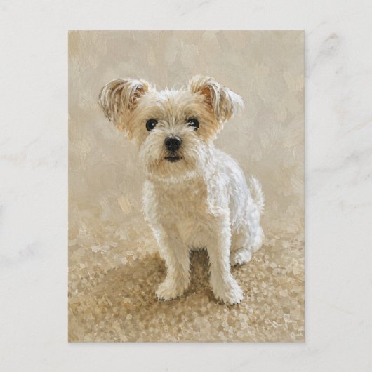 Carte Postale Amour de Morkie (Devant)