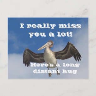 Carte Postale Amour de Pélican_