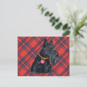 Carte Postale Amour de Terrier Écossais (Debout devant)