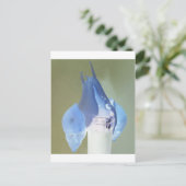 Carte Postale Amour des escargots (Debout devant)