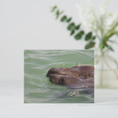 Carte Postale Amour doux (Debout devant)