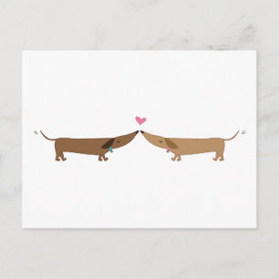 Carte Postale amour doxie